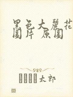 黑色大丽花真实图片 原图