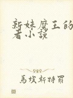 新妹魔王的契约者小说封面