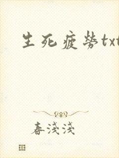 生死疲劳txt封面