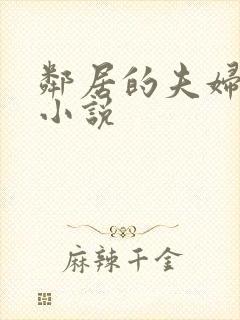 邻居的夫妇交换小说