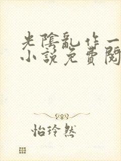 光阴乱作一团的小说免费阅读