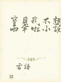 宝贝我不想带小雨伞啦小说封面