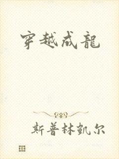 穿越成龙封面