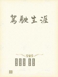 驾驶生涯