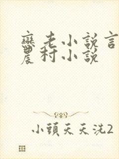 恋老小说言情网农村小说