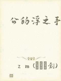 公的浮之手中字封面