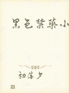 黑色禁药小说