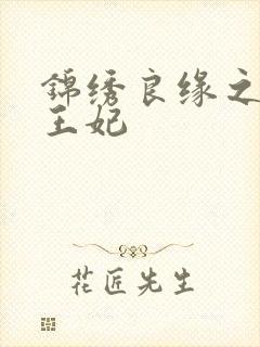 锦绣良缘之北地王妃