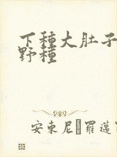下种大肚子怀孕野种封面