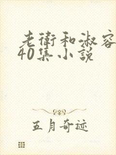 老卫和淑容1-40集小说封面