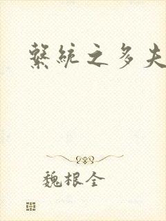 系统之多夫HP封面