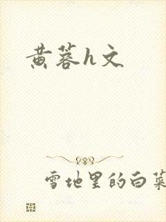 黄蓉h文