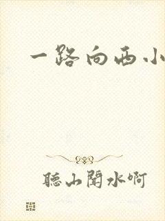 一路向西小说