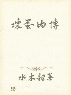 坏蛋内传