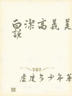 白洁高义美红小说封面