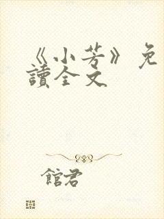 《小芳》免费阅读全文