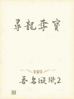 寻龙夺宝封面