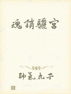 魂销骊宫封面