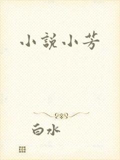 小说小芳封面