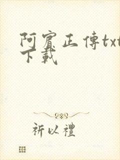 阿宾正传txt下载