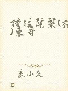 错位关系(校园)东哥