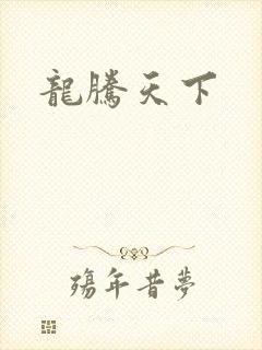 龙腾天下封面