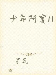 少年阿宾11封面