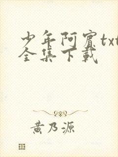 少年阿宾txt全集下载