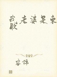 我老婆是东方不败封面