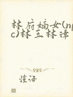 林府嫡女(npc)林玉林璋
