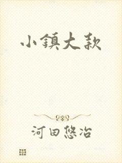 小镇大款封面