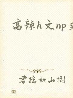 高辣h文np爽