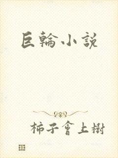 巨轮小说封面