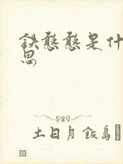 铁憨憨是什么意思