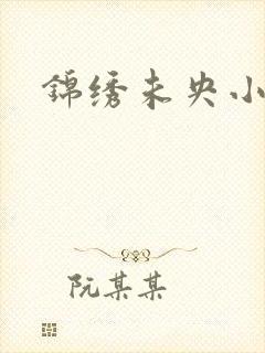 锦绣未央小说封面