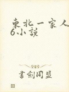 东北一家人1一6小说封面