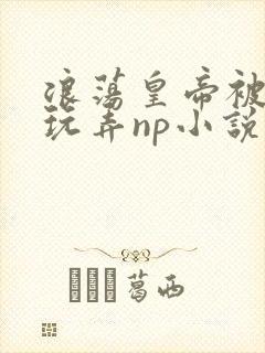 浪荡皇帝被多人玩弄np小说