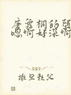 唐舞桐的堕落H嗯啊好深啊封面