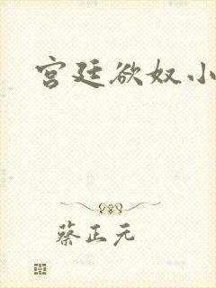 宫廷欲奴小说封面