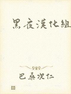 黑夜汉化组封面