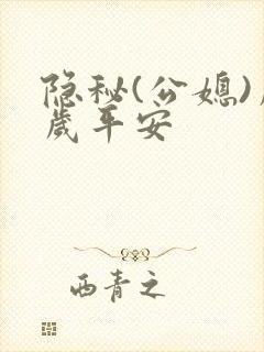 隐秘(公媳)岁岁平安封面