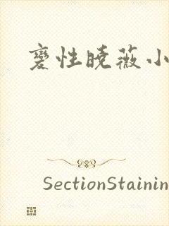 变性晓薇小说