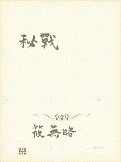 秘战封面