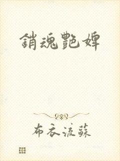 销魂艳婢封面