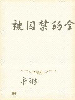 被囚禁的金丝雀