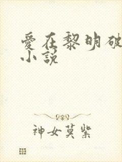爱在黎明破晓前小说