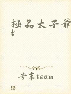 极品太子爷txt