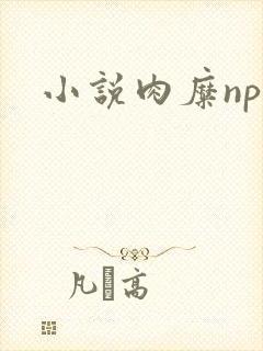 小说肉糜np封面
