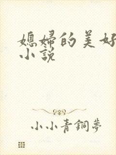 媳妇的美好时代小说
