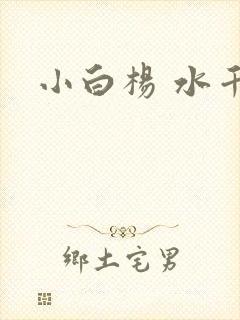 小白杨 水千丞